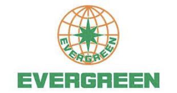 Hình ảnh cho nhà sản xuất Evergreen